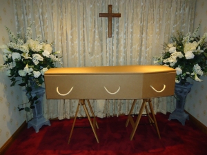 Image 1 - Cardboard Coffin