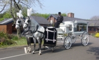 Horse & Carriage ~ White