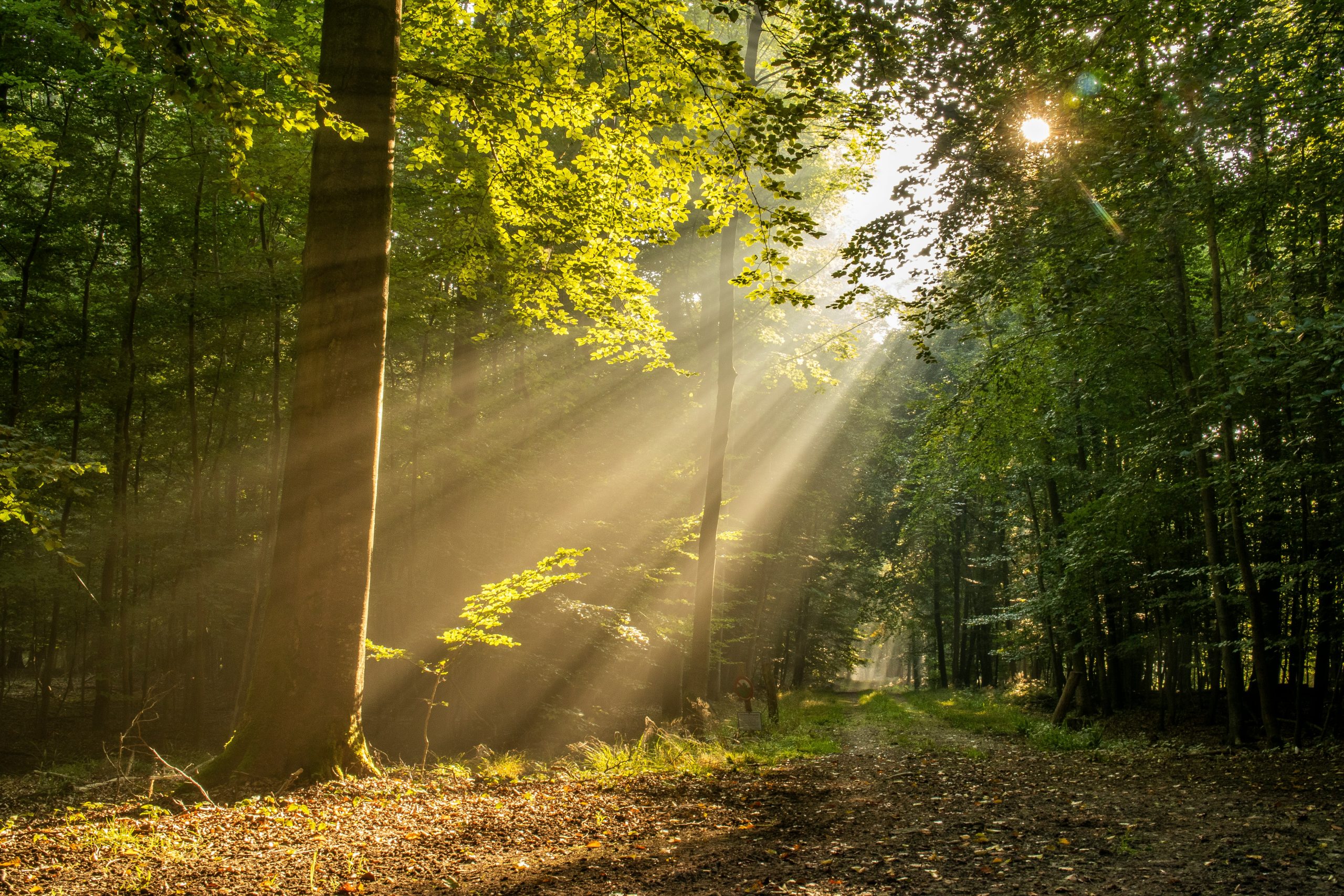 michael-held-6fRHGqbp1_4-unsplash